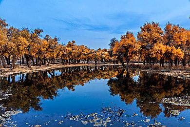《黎明杀机》新治疗系统引玩家不满 官方迅速回滚